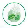 Food-Grade Eucommia Essence Extract Powder